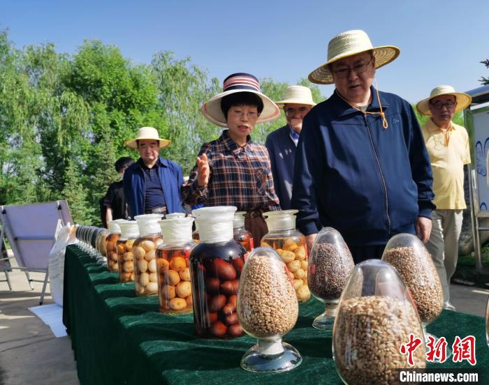 青海：利用冷涼氣候，打造高原綠色種業(yè)輸出地