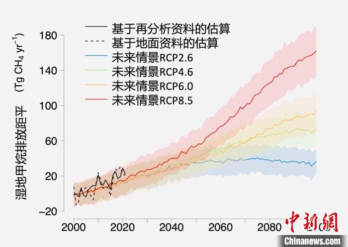 基于觀測(cè)的濕地甲烷排放變化與未來(lái)氣候變化情景下估算的對(duì)比。　中科院青藏高原所 供圖