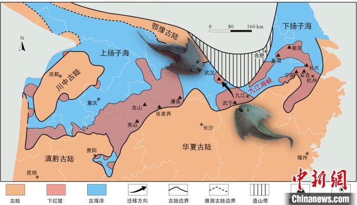 華南地區(qū)志留紀(jì)早期古地理圖和盔甲魚類化石產(chǎn)地(山顯任改自陳旭、戎嘉余，1996；戎嘉余等，2012) 中科院古脊椎所 供圖