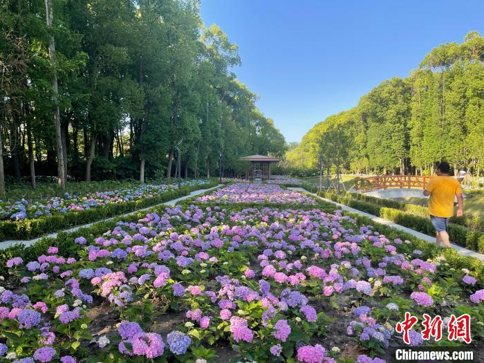 納民意、匯民智上海努力讓“公園城市”建設(shè)真正“合民心”