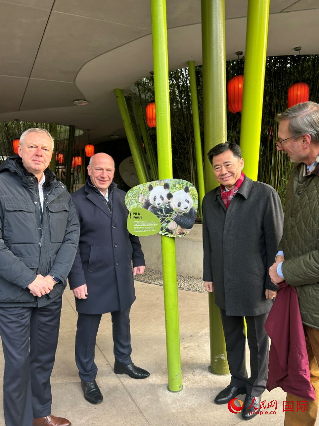 中國駐德國大使吳懇（右二）、柏林市長韋格納（左二）、動物園園長克尼里姆（右一）和監(jiān)事會主席布魯克曼（左一）共同為“夢想”“夢圓”大熊貓紀念牌揭幕。人民網(wǎng)記者 徐馨攝