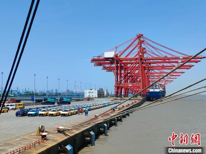 資料圖：國產新能源車在上海外高橋港區(qū)海通碼頭“整裝待發(fā)”。　浦帆 攝