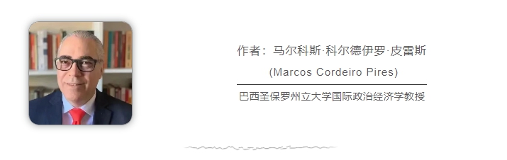 巴西學者：俄烏、巴以沖突再次暴露美西方“雙標”本質(zhì)