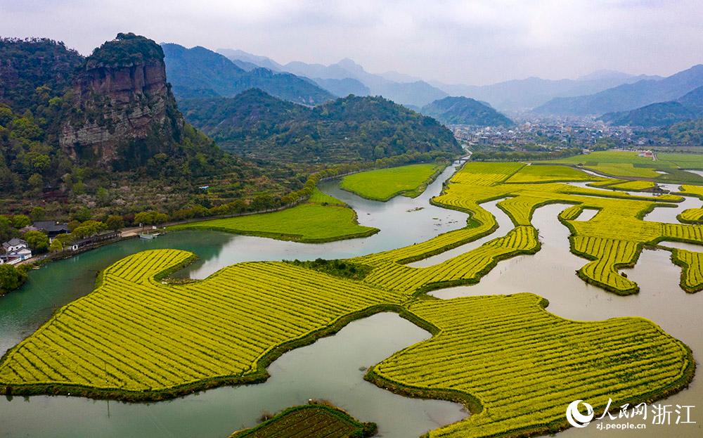 3月28日，航拍浙江省臨海市桃渚鎮(zhèn)桃江十三渚盛開的油菜花景色。人民網(wǎng) 章勇濤攝