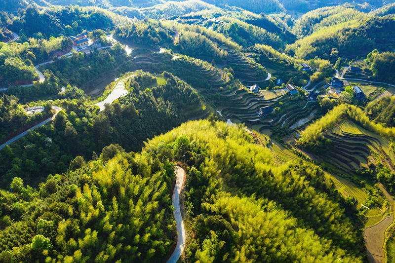 會(huì)同縣高椅鄉(xiāng)雪峰村的產(chǎn)業(yè)路盤旋在綠色的大山之間。田文國(guó)攝