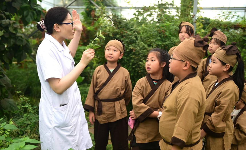 參加活動(dòng)的孩子聆聽滄州市人民醫(yī)院國醫(yī)館中醫(yī)對中藥材的講解。 傅新春攝