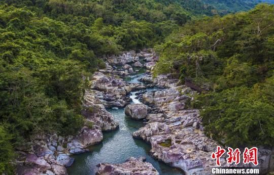 2018年海南生態(tài)環(huán)境狀況等級為“優(yōu)”，植被覆蓋率高，生物多樣性豐富，生態(tài)系統(tǒng)穩(wěn)定，圖為海南中部熱帶雨林?！●樤骑w　攝