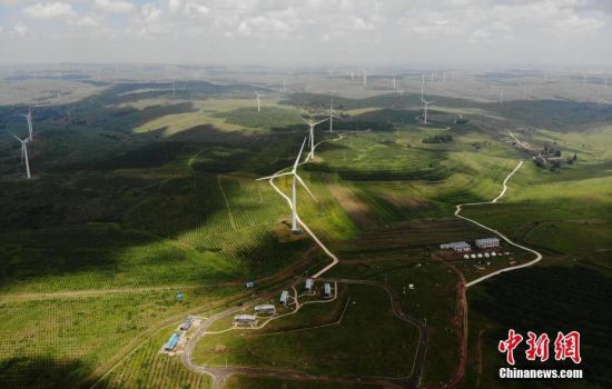 6月28日，河北張家口張北草原上大片風力發(fā)電的“風車”規(guī)模宏大。 中新社記者 楊艷敏 攝