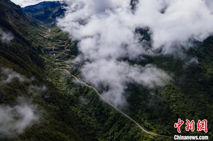 西藏山南勒布溝景區(qū)的盤山公路被云霧環(huán)繞?！〗w波 攝