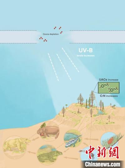 臭氧層破壞引起的紫外線輻射增加對陸地食物鏈的影響?！∧瞎潘?供圖