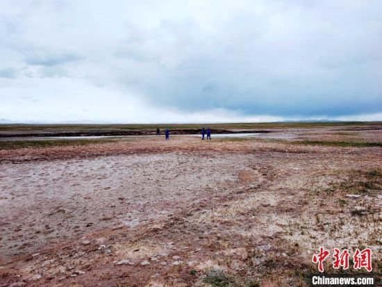 圖為救援力量在青海省西部搜救失聯(lián)的江蘇南京某大學(xué)女生黃某某。海西州藍(lán)天應(yīng)急救援中心 供圖