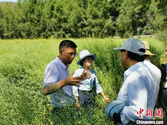 圖為九三學(xué)社青海省委主委杜德志(左一)在基層調(diào)研。受訪者供圖