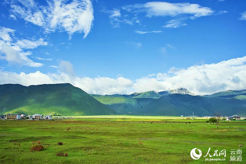 納帕海濕地風(fēng)景。呂昊辰攝