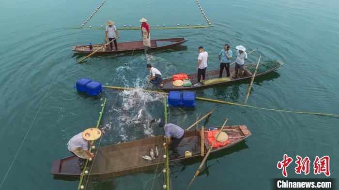 捕魚現(xiàn)場。　主辦方供圖