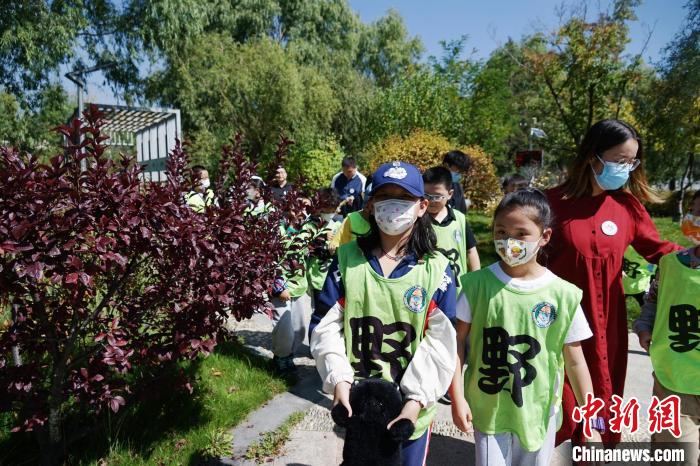 圖為小朋友在青海西寧湟水國家濕地公園內(nèi)認識植物?！●R銘言 攝