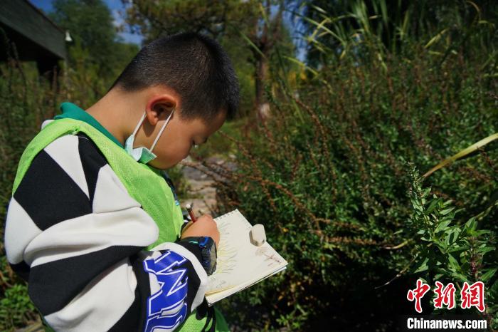 圖為小朋友在青海西寧湟水國家濕地公園內(nèi)認識植物并進行繪畫。　馬銘言 攝