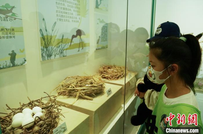 圖為小朋友在青海西寧湟水國家濕地公園科普館內(nèi)參觀學習。　馬銘言 攝