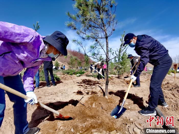 青海掀起春季義務(wù)植樹(shù)高潮今年計(jì)劃義務(wù)植樹(shù)1500萬(wàn)株