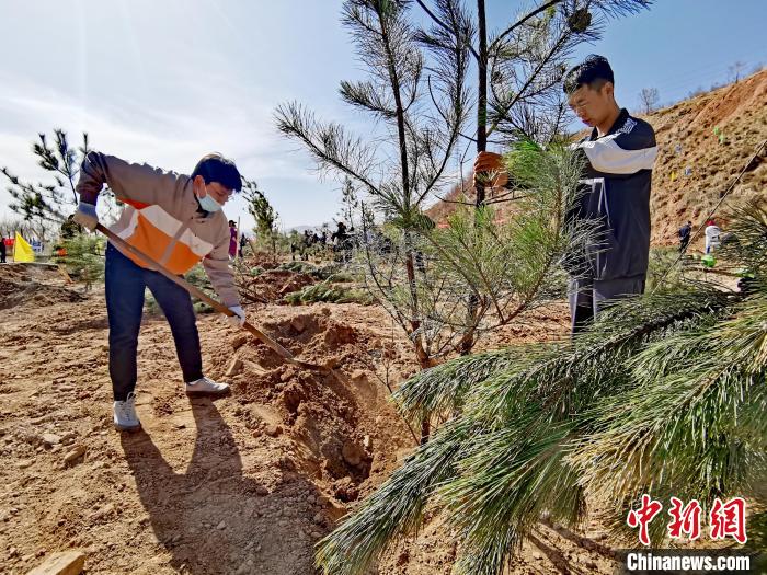 圖為西寧市城東區(qū)義務(wù)植樹(shù)活動(dòng)現(xiàn)場(chǎng)?！?zhí)砀?攝