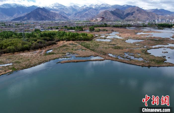 圖為拉薩拉魯濕地。(無人機(jī)照片) 李林 攝