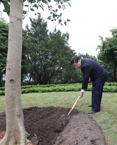 2012年12月7日至11日，習(xí)近平在廣東省考察工作。這是8日上午，習(xí)近平在深圳蓮花山公園種下一棵高山榕樹。新華社記者 蘭紅光 攝