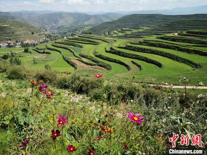 甘肅組建社會(huì)團(tuán)體智庫和能人聯(lián)手“架橋”助推醫(yī)藥健康產(chǎn)業(yè)