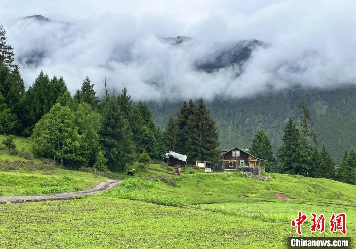 6月10日，魯朗小鎮(zhèn)高山牧場(chǎng)景區(qū)風(fēng)光?！∪轿木?攝