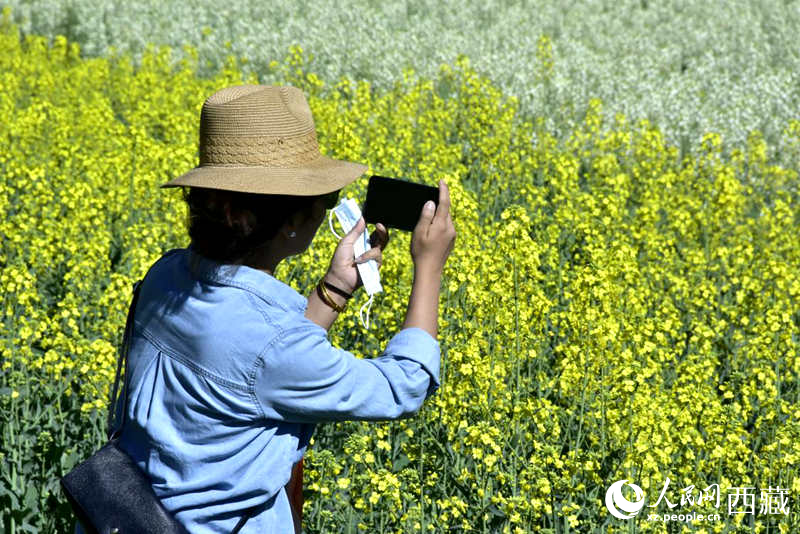 大片油菜花吸引游客到來(lái)。人民網(wǎng) 李海霞攝