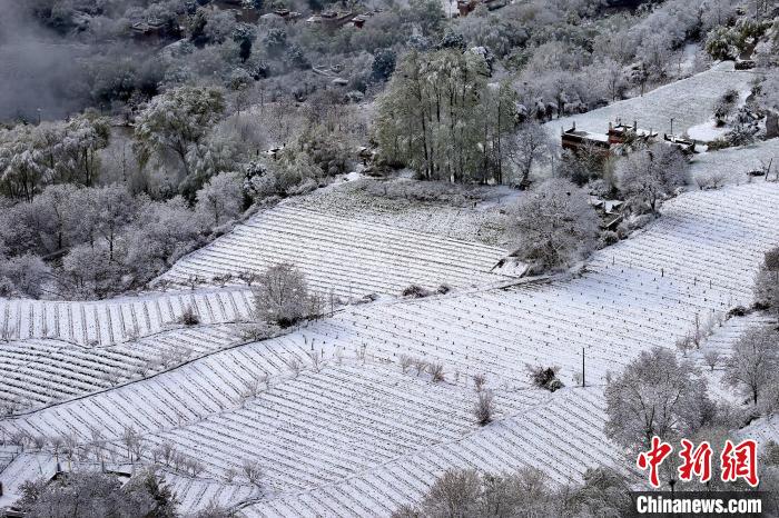 雪后的高山田間如畫。　李永安 攝