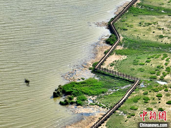 俯瞰柴達(dá)木盆地都蘭湖國家濕地公園