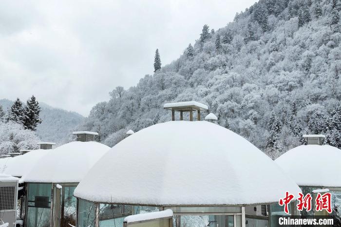 大熊貓國(guó)家公園王朗片區(qū)春雪如畫，宛若仙境?！×_春平 攝