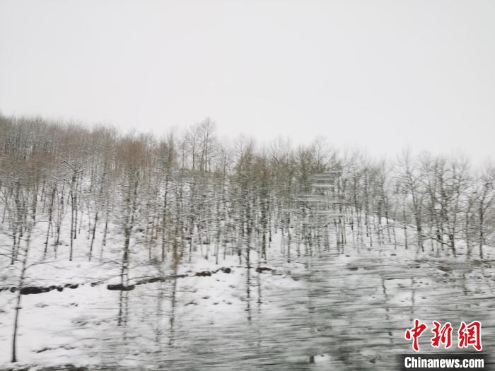 圖為青海青沙山區(qū)域被降雪覆蓋?！?zhí)砀?攝