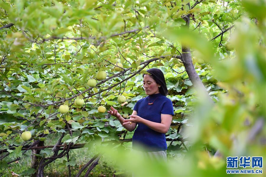 （決戰(zhàn)決勝脫貧攻堅·圖文互動）（2）從賣菜“小保姆”到農家樂“老板”——其美拉姆的創(chuàng)業(yè)路