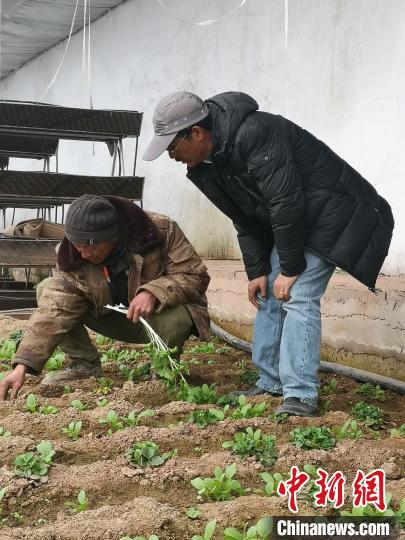 圖為尼瑪扎西(右)與西藏農(nóng)民聊天(資料圖)。西藏農(nóng)科院 供圖