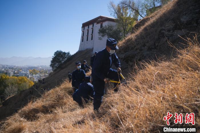 圖為消防員分成5個(gè)小隊(duì)在除草。　何蓬磊 攝