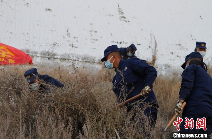 圖為200余名消防員在布達(dá)拉宮后山集合除草?！≮w朗 攝