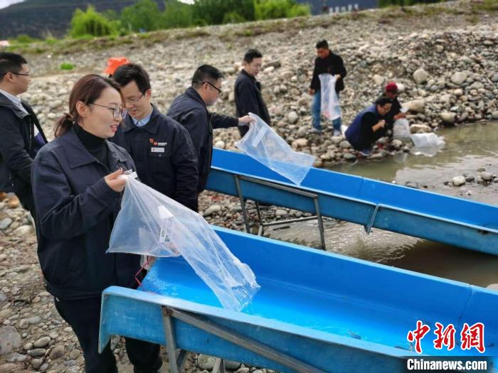 尼洋河珍稀魚(yú)類(lèi)物種保護(hù)彰顯魚(yú)“水”深情