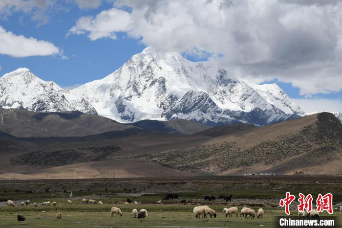 資料圖為拉薩市尼木縣境內(nèi)的瓊姆崗嘎雪山?！∝暩聛?lái)松 攝