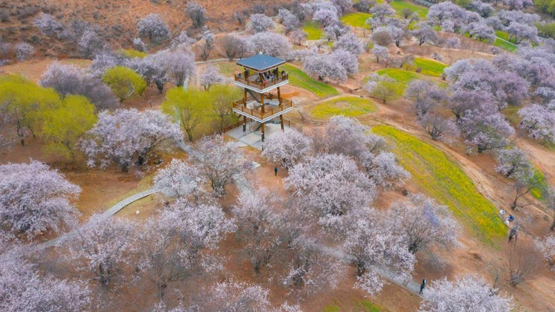 林芝嘎拉村。 張靜攝