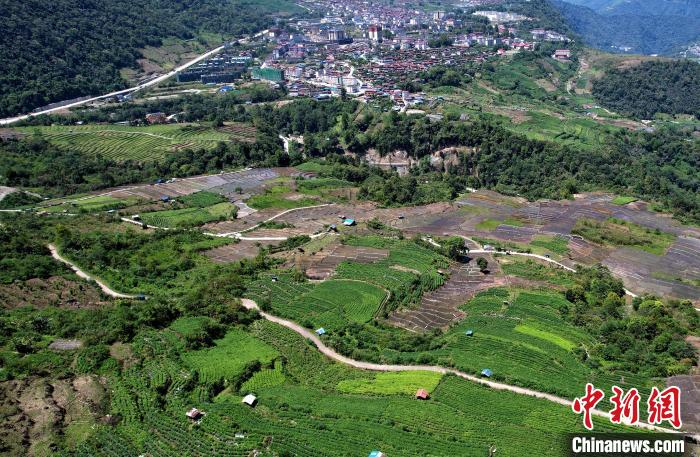 圖為西藏林芝市墨脫縣城附近的茶田。(無人機(jī)照片) 李林 攝