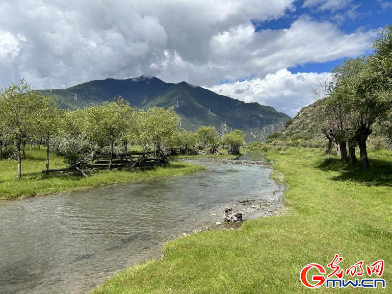 我們的家園丨雅尼國(guó)家濕地公園：荒草灘“換裝”綠水青山 生態(tài)游送來(lái)“金山銀山”