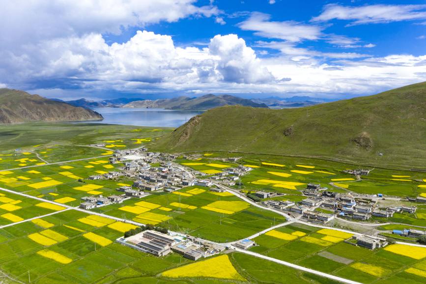 航拍道布龍村，依山傍水，阡陌縱橫。