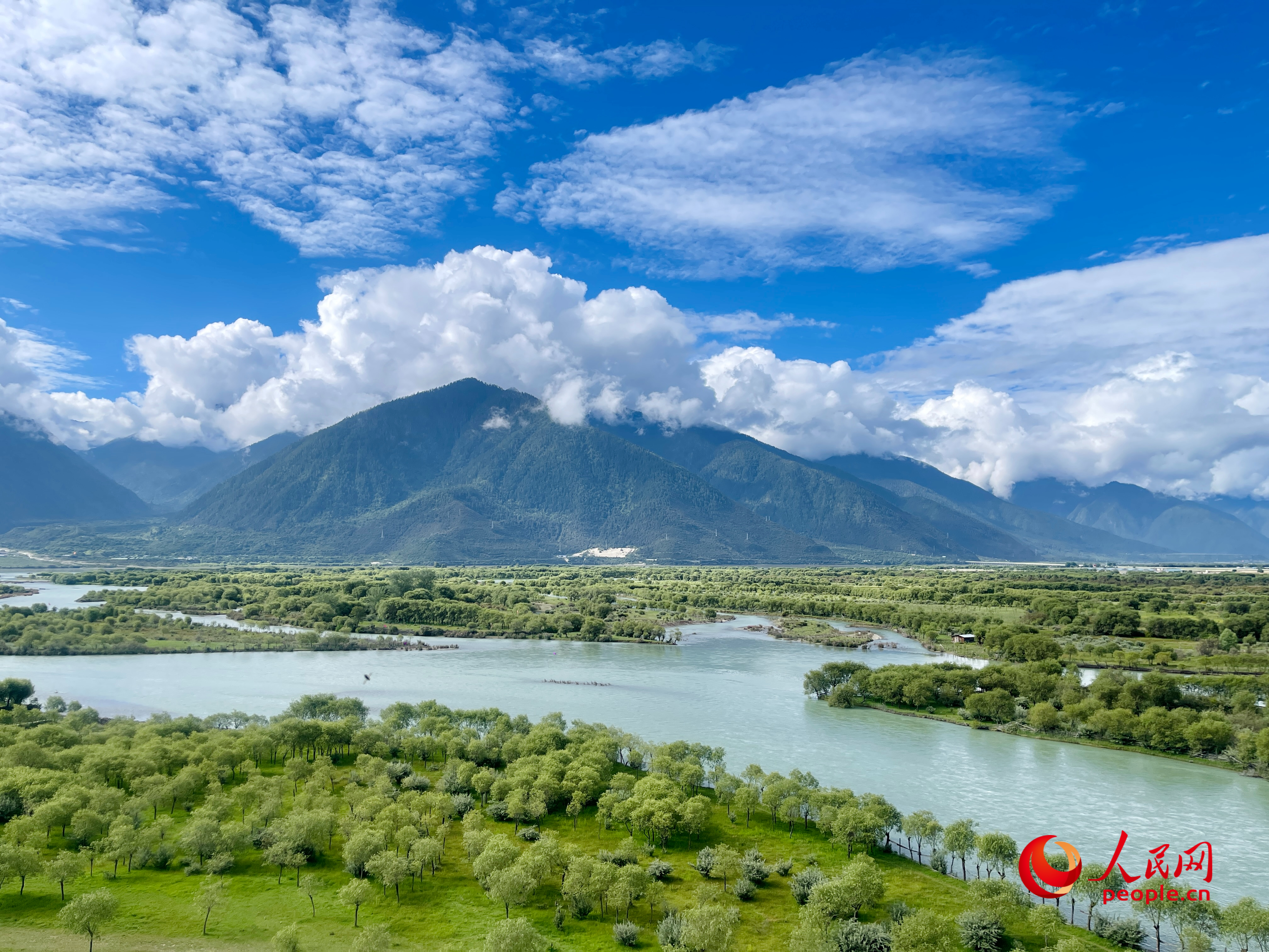 夏日的雅尼國家濕地公園生機盎然，如詩如畫。人民網(wǎng) 周靜圓攝