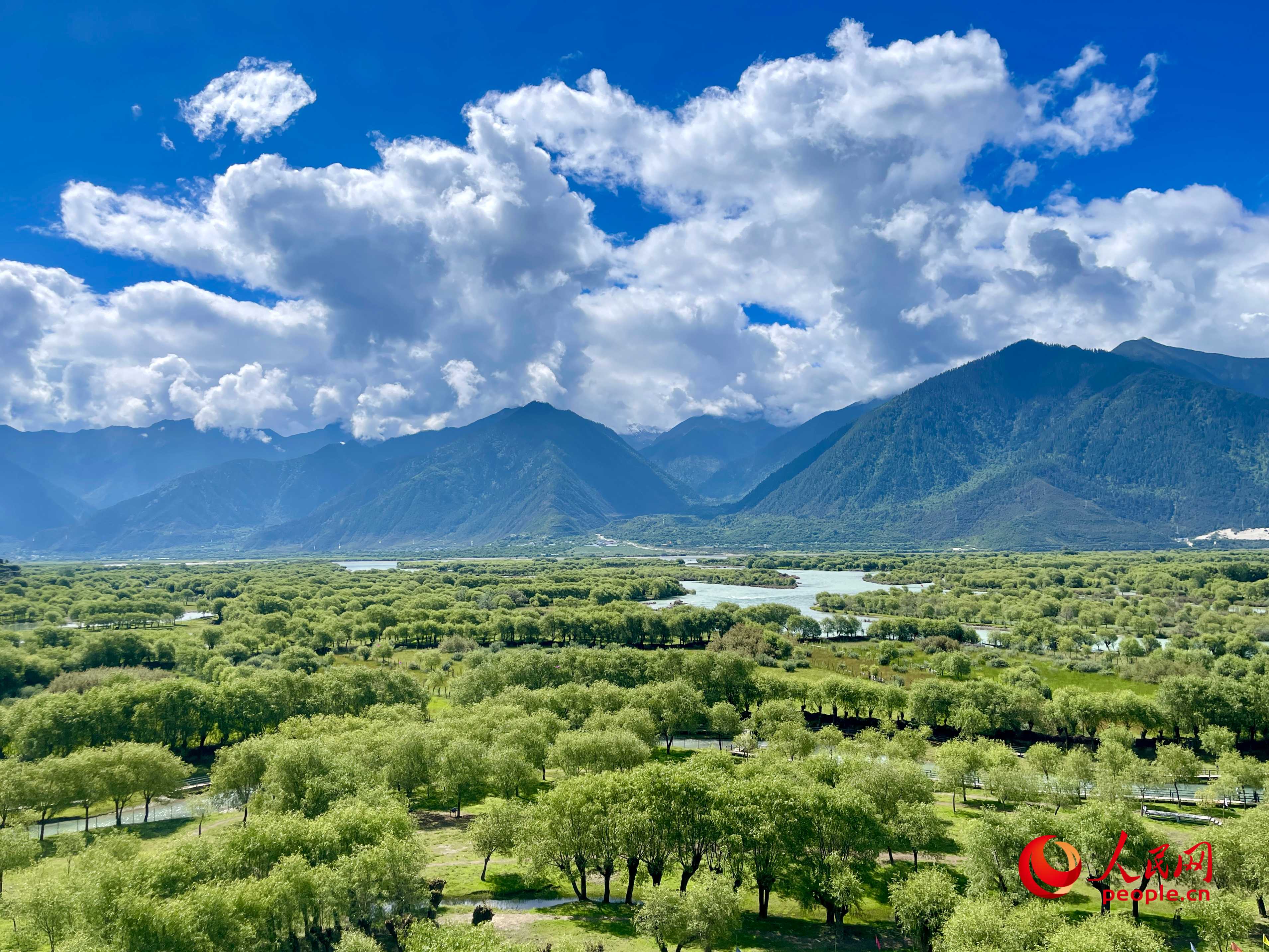 夏日的雅尼國家濕地公園生機(jī)盎然，如詩如畫。人民網(wǎng) 周靜圓攝