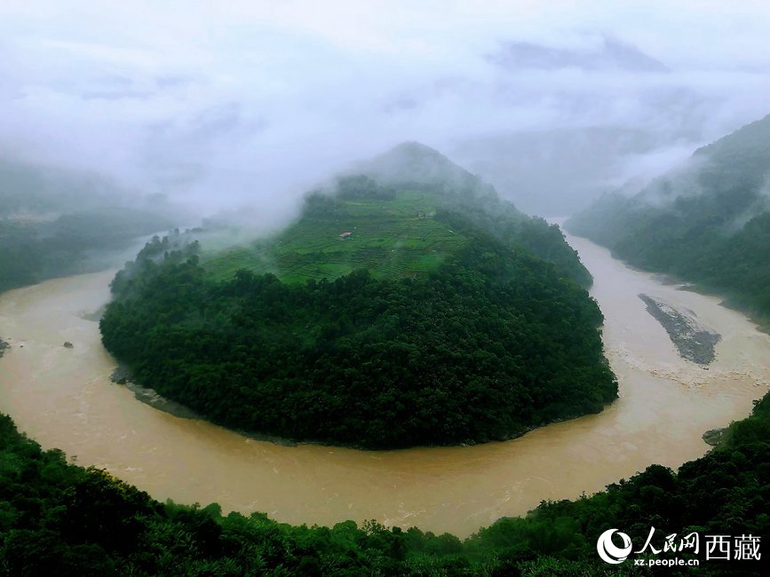 雅魯藏布江大峽谷蛇形拐彎處，山坡上種滿茶樹。