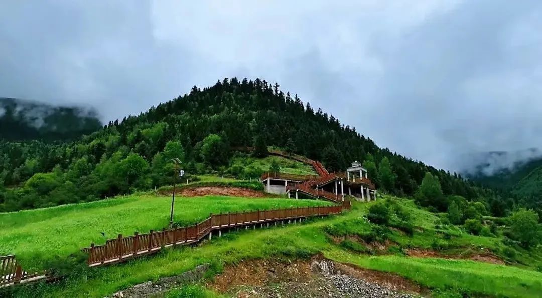 一條木棧道開出“幸福路”