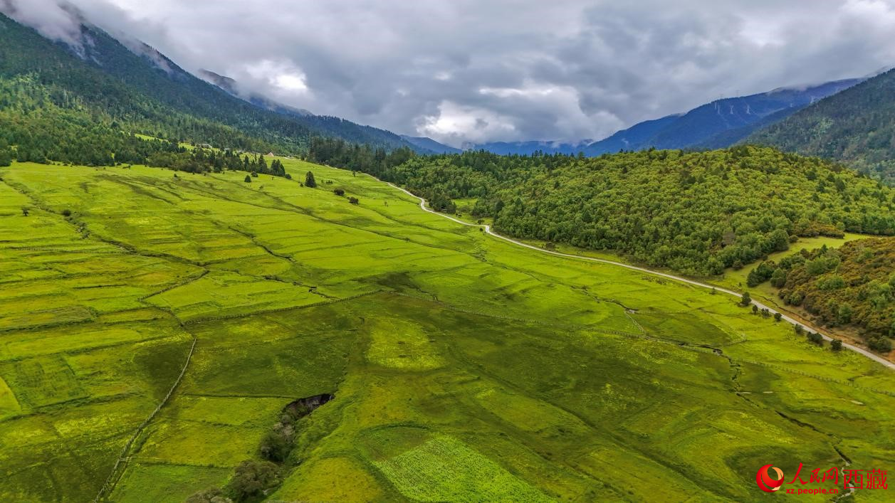 圖為航拍高山牧場鳥瞰圖。人民網(wǎng)記者 次仁羅布攝